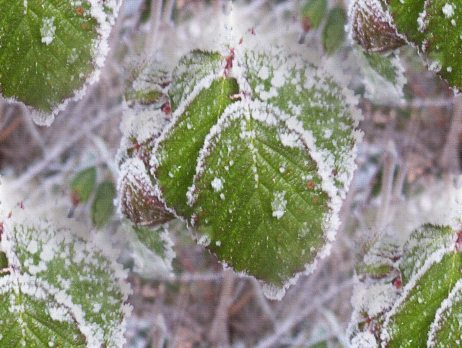 Lærredeffekt og derefter "Sømløse brudstykker".